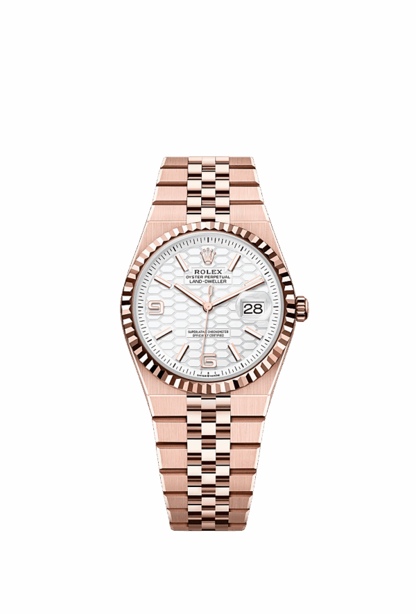 Land-Dweller 36, Oyster, 36 mm, Everose gold, Dial Intense white, hon