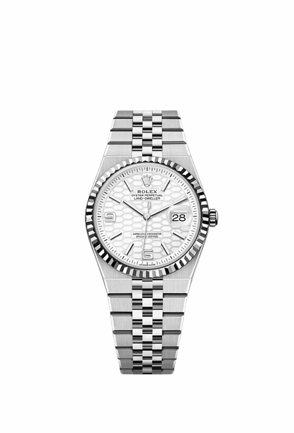 Land-Dweller 36, Oyster, 36 mm, Oystersteel and white gold, Dial Inte