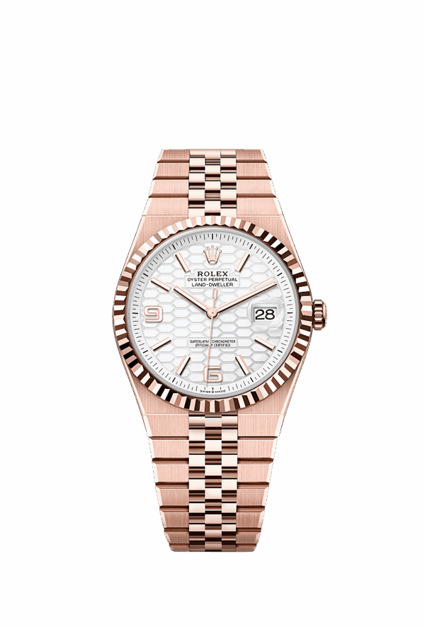 Land-Dweller 40, Oyster, 40 mm, Everose gold, Dial Intense white, hon
