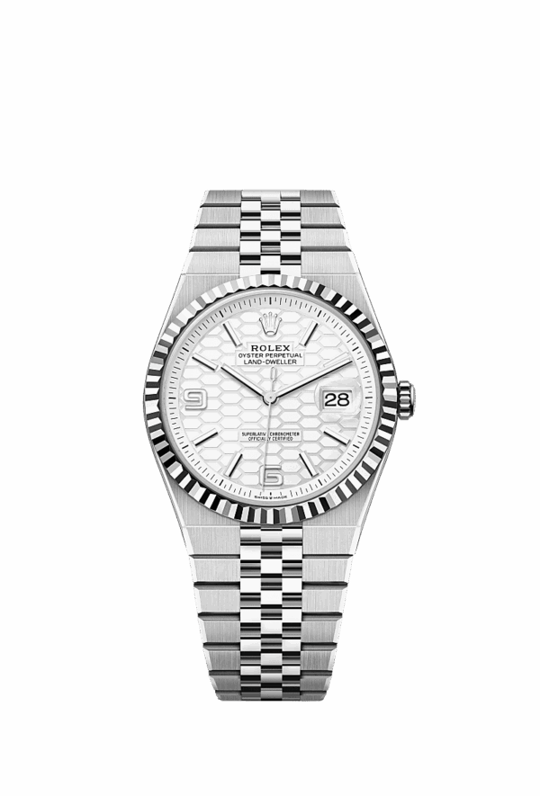 Rolex Land-Dweller 40 watch Oystersteel and white gold - m127334-0001
