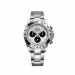 Cosmograph Daytona 116509 Meteorite Dial Steel and Black Oyster White Gold